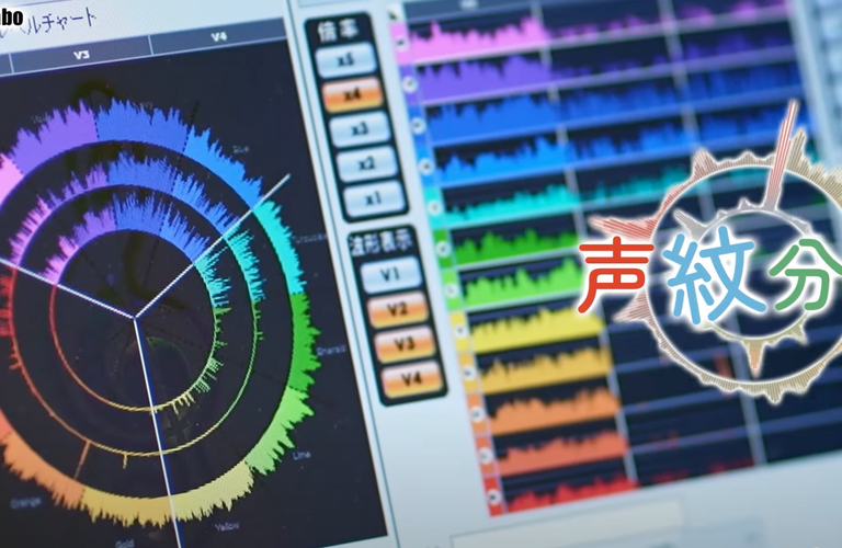 あなたの声紋分析が、悪い習慣を変える第一歩に。オンラインカウンセリング